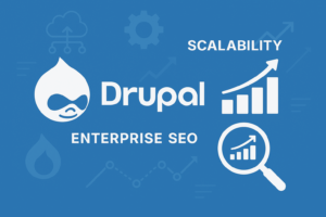 Drupal SEO
