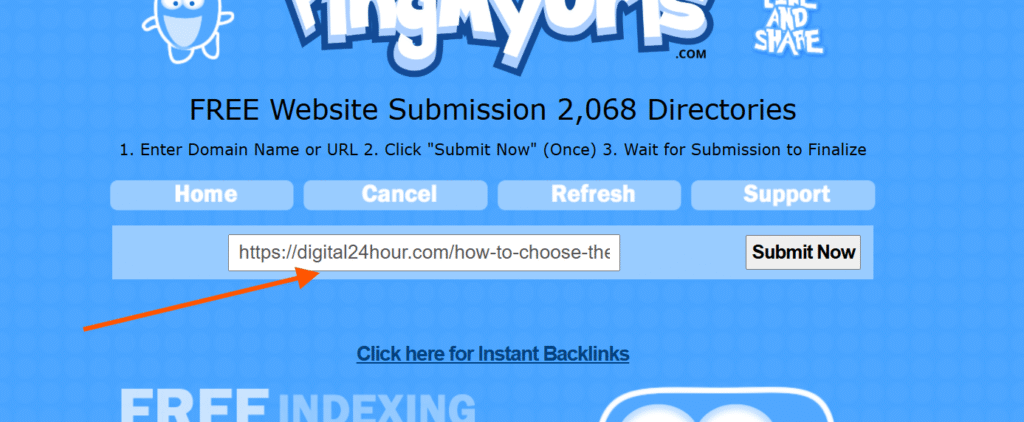 Ping Submission Guide